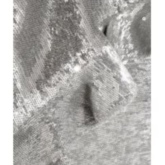 NWT IRO Women's Metallic Waleast Cold-shoulder Ruffled Sequined Tulle Top Size 2 - Picture 5 of 11